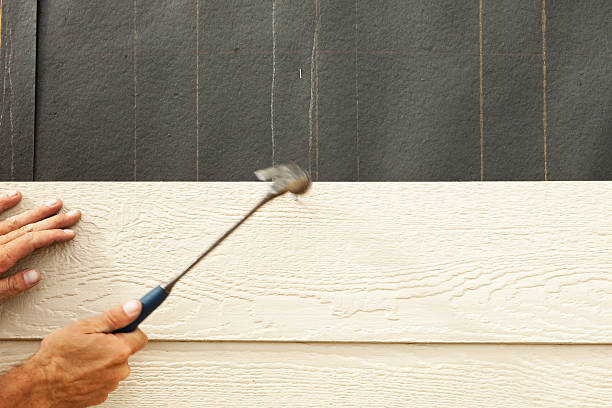 Best Storm Damage Siding Repair  in Kamiah, ID